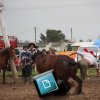 Fotos do Garrão 02/11/14
