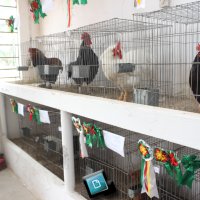 Sindicato Rural  2022