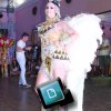 Fotos do Baile 15/02/15