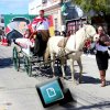 Desfile 20 de setembro 1ª Parte